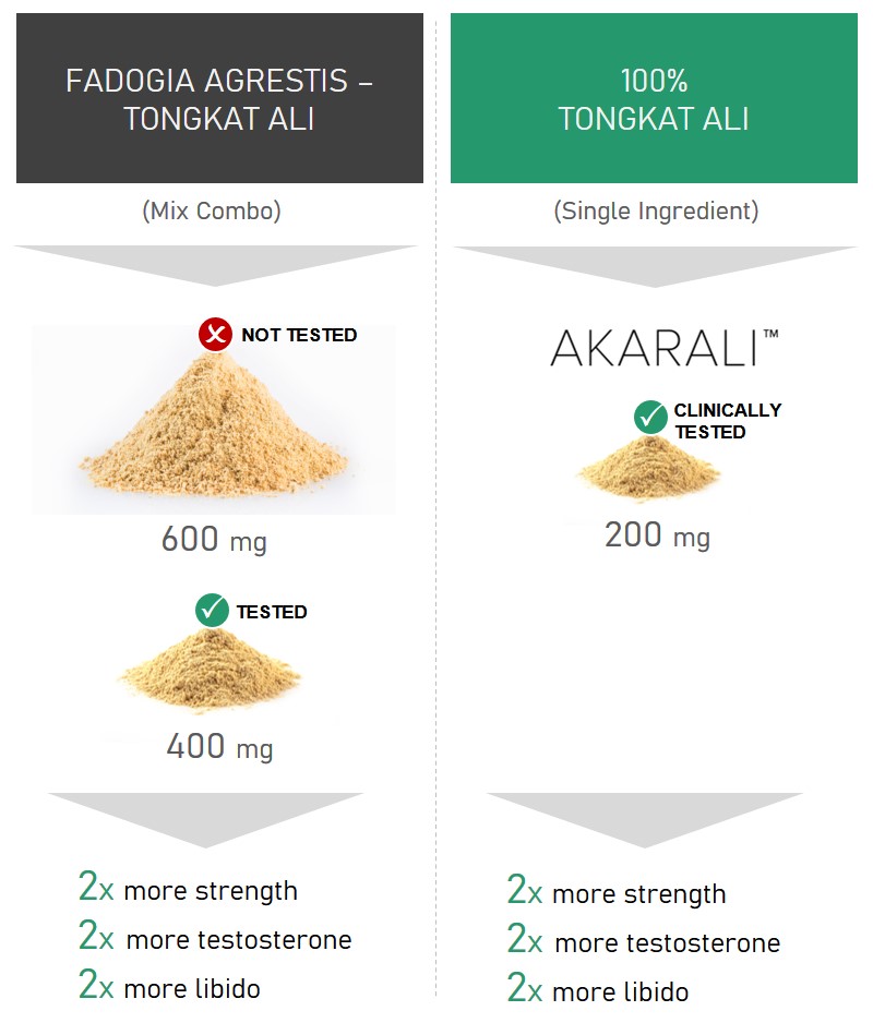 Tongkat Ali: Health Benefits, Uses, Dosage, And Side Effects