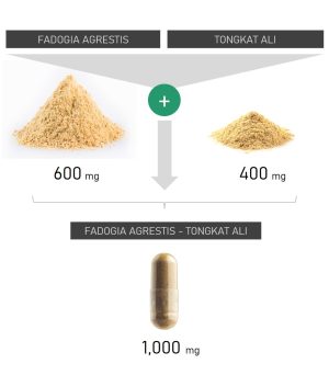 Tongkat Ali vs Fadogia Agrestis. Which has more benefits, work better
